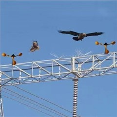 電力電網-鳥情